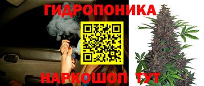 прущие грибы Аргун
